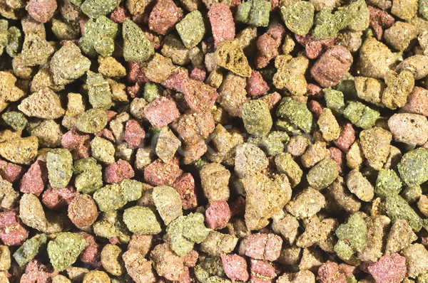Pet food Stock photo © simazoran