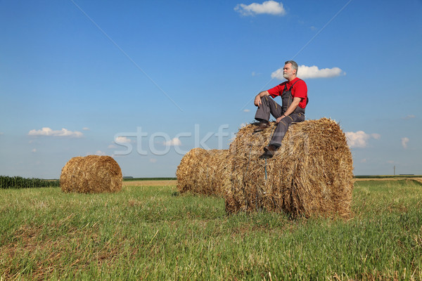 Farmer and bale of hay in field Stock photo © simazoran