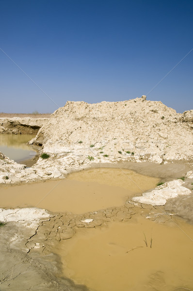 Marsh land Stock photo © simazoran