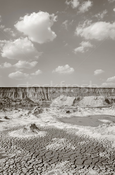 Stock photo: Moor landscape