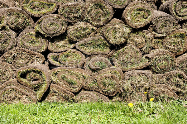 Gras rollen voorjaar werk natuur landschap Stockfoto © simazoran