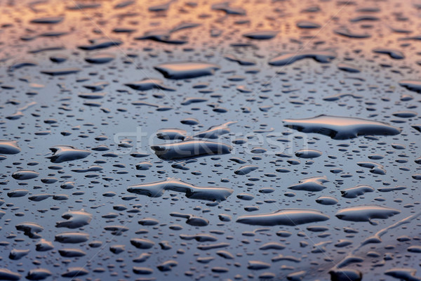 Water drops background Stock photo © simazoran