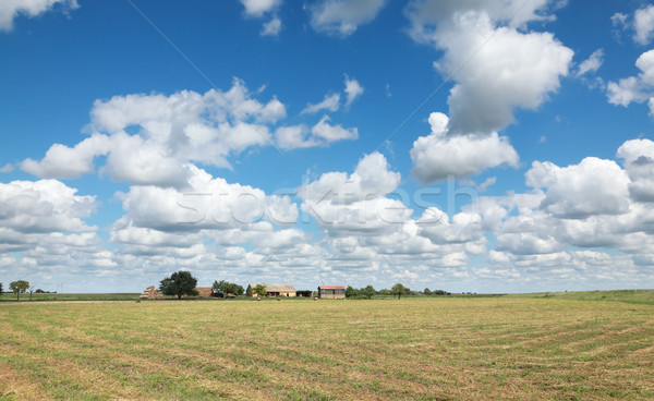 Rural landscape Stock photo © simazoran