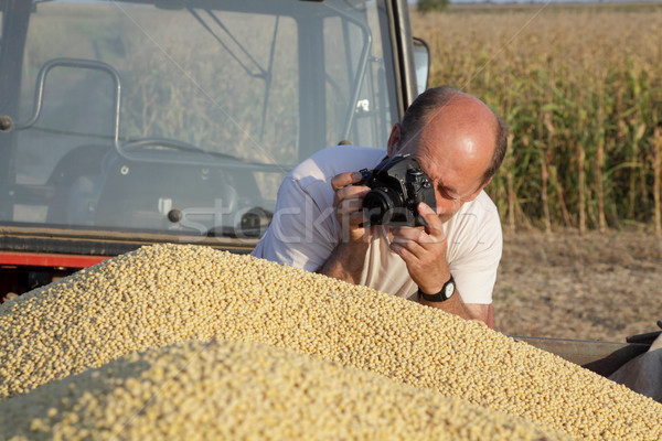 Photographing harvest Stock photo © simazoran