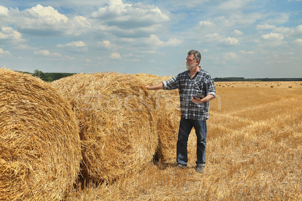 Farmer and bale of straw in field Stock photo © simazoran