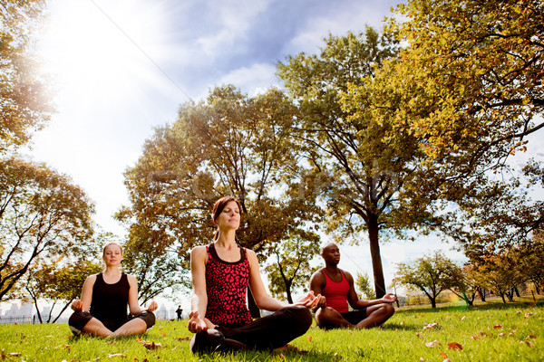 Park yoga grup insanlar şehir kız çim Stok fotoğraf © SimpleFoto