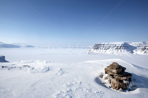 Winter Snow Wilderness Stock photo © SimpleFoto