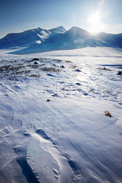 Svalbard Landscape Stock photo © SimpleFoto