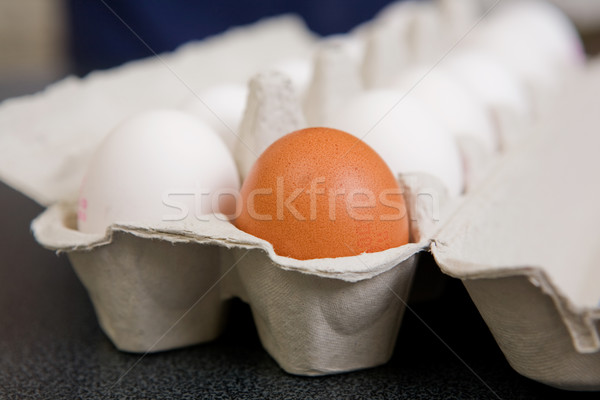 Brown Egg Stock photo © SimpleFoto