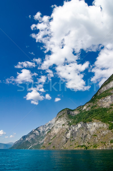 Norwegia sceniczny wody charakter krajobraz Zdjęcia stock © SimpleFoto