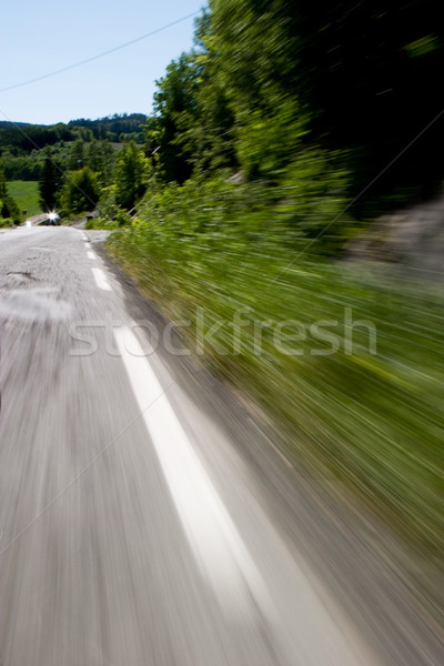 Road with Motion Blur Stock photo © SimpleFoto