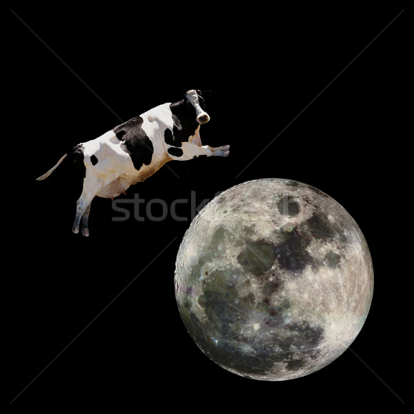 Kuh springen Mond Raum Bauernhof Rede Stock foto © SimpleFoto
