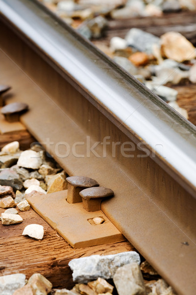 Railroad Spike Stock photo © SimpleFoto