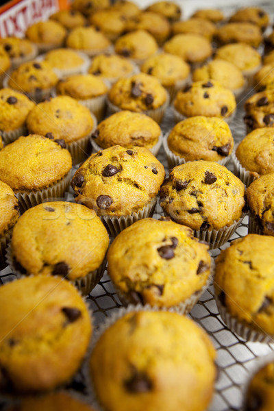 Frischen Muffins frisch gebacken Schokolade Chip Stock foto © SimpleFoto