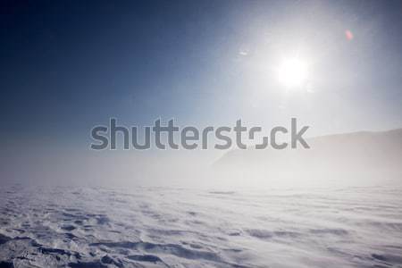Winter Storm Stock photo © SimpleFoto