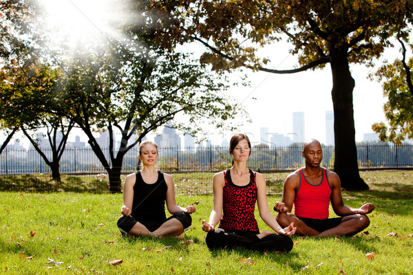 Yoga park grup insanlar meditasyon şehir kız Stok fotoğraf © SimpleFoto