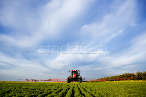 Hoog veld prairie landschap werk Stockfoto © SimpleFoto