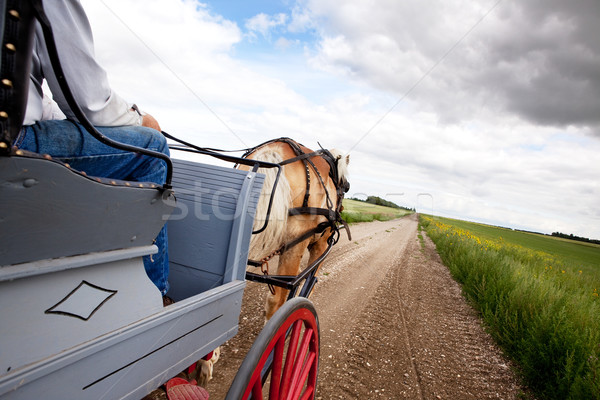 Paard winkelwagen mooie saskatchewan landschap Stockfoto © SimpleFoto