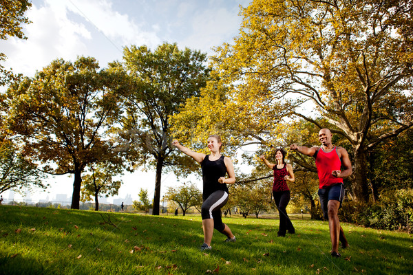 Arts martiaux groupe formation parc herbe [[stock_photo]] © SimpleFoto