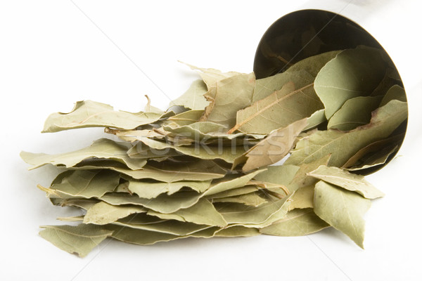 Bay Leaves Stock photo © SimpleFoto
