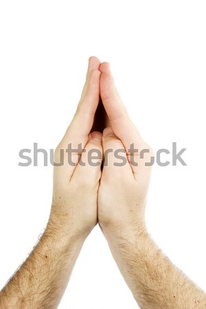Praying Hands Isolated Stock photo © SimpleFoto