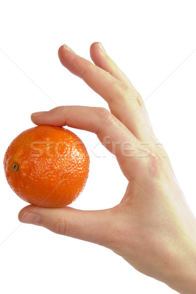 Simply Orange Stock photo © SimpleFoto