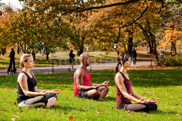 Dinlenmek şehir grup insanlar rahatlatıcı meditasyon park Stok fotoğraf © SimpleFoto