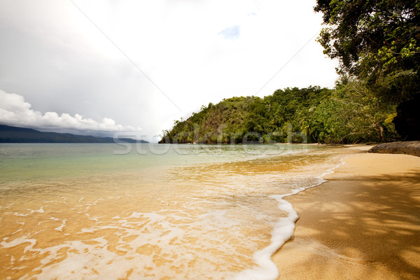 Tropical Private Beach Stock photo © SimpleFoto