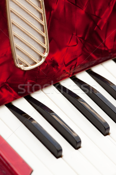 Akkordeon Detail alten isoliert weiß Tastatur Stock foto © SimpleFoto