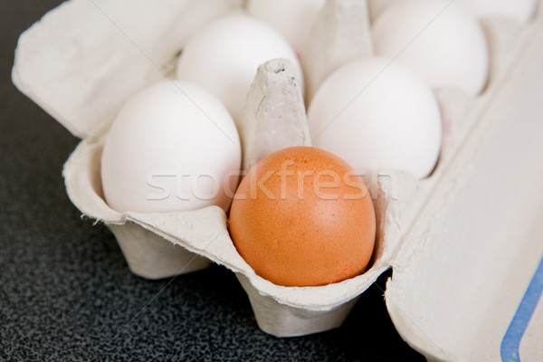 Brown Egg Stock photo © SimpleFoto