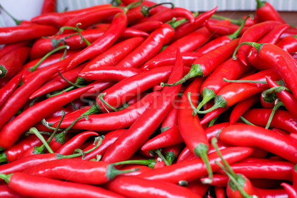 Vers hot paprika display Rood achtergrond Stockfoto © SimpleFoto