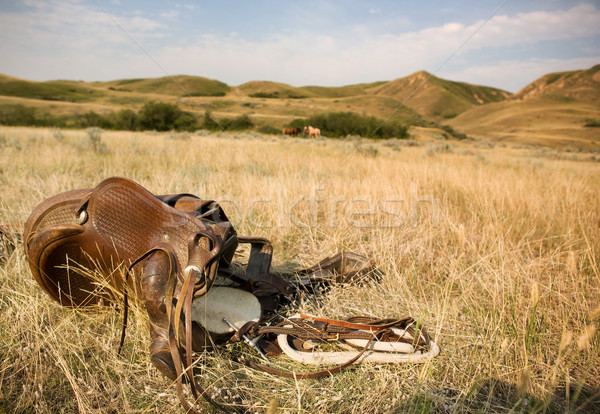 Ouest selle prairie chevaux herbe Photo stock © SimpleFoto