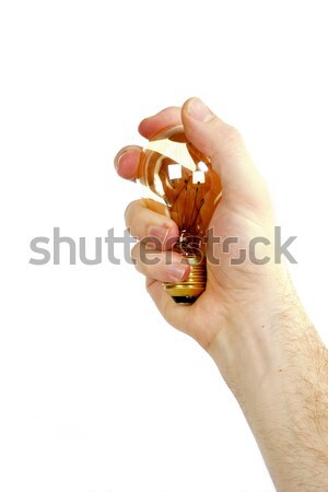 Hand with Light Bulb Stock photo © SimpleFoto