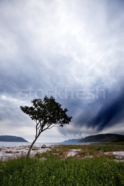 Stock photo: Landscape Remote Coast