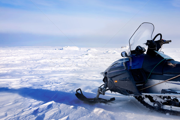 Jałowy zimą krajobraz lodu zimno Norwegia Zdjęcia stock © SimpleFoto