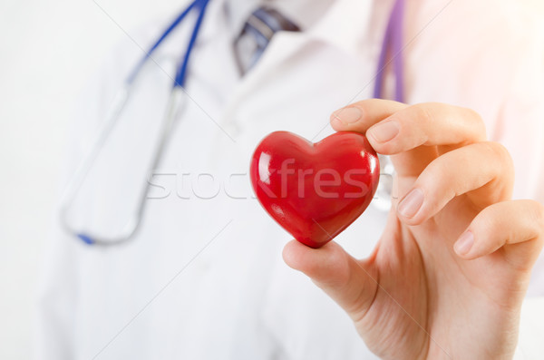 Stock foto: Kardiologe · halten · Herz · 3D · Modell · Medizin
