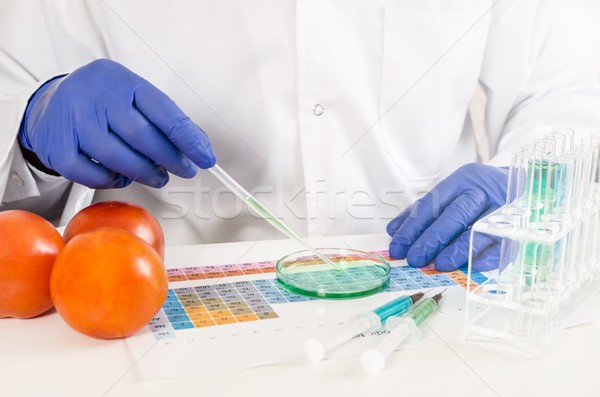 Technikus dolgozik zöldségek génmanipulált étel labor Stock fotó © simpson33