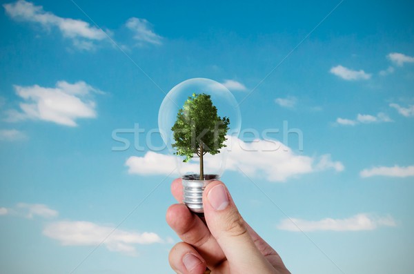 Energieeffizienz abstrakten Baum Glühbirne Natur Technologie Stock foto © simpson33