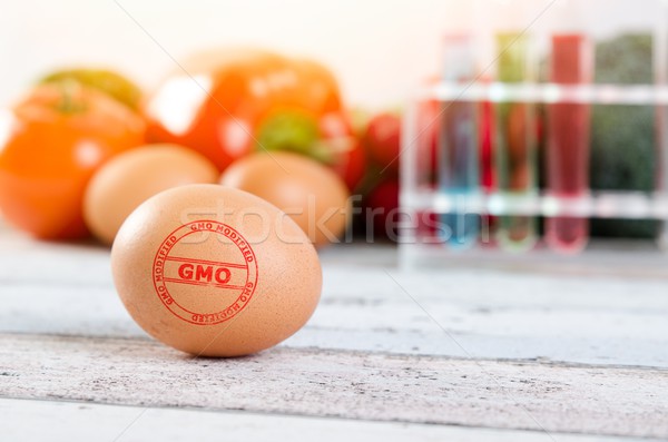 Eggs with GMO modified stamp. Genetically modified food concepti Stock photo © simpson33