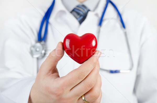 Cardiologista coração 3D modelo medicina Foto stock © simpson33