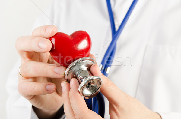 Cardiologist holding heart 3D model Stock photo © simpson33