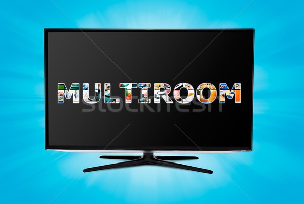 Television multi-room technology. Display with multiple masked i Stock photo © simpson33