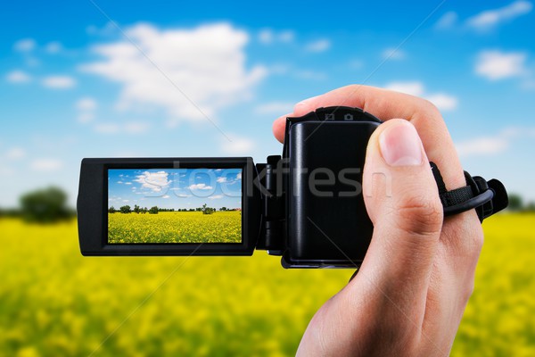 Videokamera Camcorder gelb Bereich blauer Himmel Baum Stock foto © simpson33