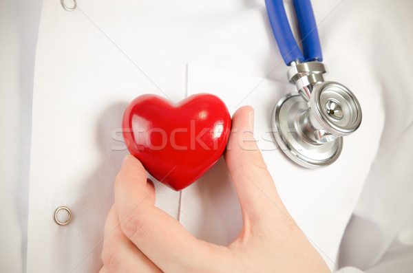 Stockfoto: Cardioloog · hart · 3D · model · geneeskunde