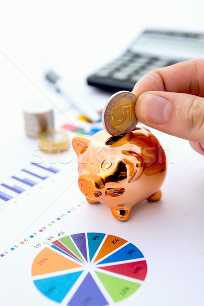 Coin and pig saving concept Stock photo © simpson33