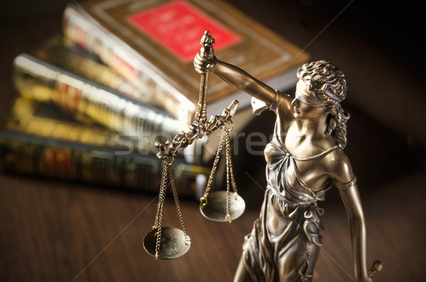 Law concept with Themis and books in background Stock photo © simpson33