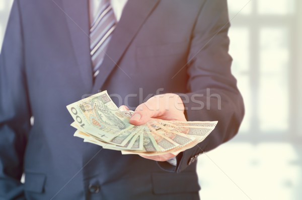 Range of Polish banknotes in businessman hand Stock photo © simpson33