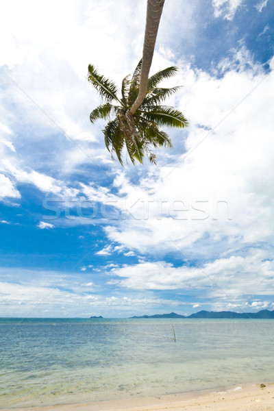 Samui Island Stock photo © sippakorn