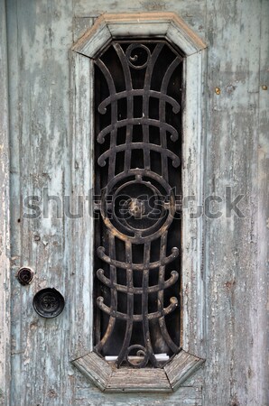 old door Stock photo © sirylok