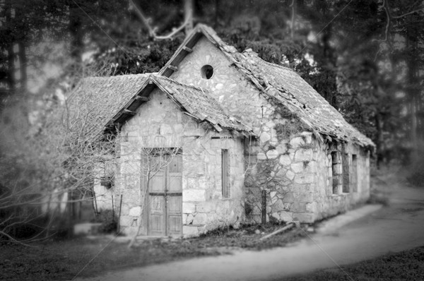 haunted house in the woods Stock photo © sirylok